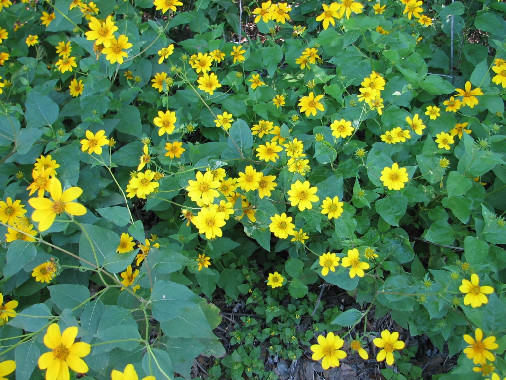 20100206 546.JPG